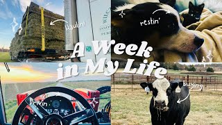 Sellin To Buyin Haulin Drivin amp yes Restin A week in My Life   A Farm Vlog [upl. by Miran]