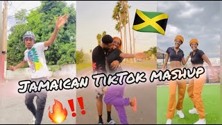 NEW JAMAICAN TIKTOK DANCE MASHUP 2024 [upl. by Pontias]