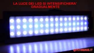 Plafoniera a Led per Acquario LedSystem per acquari dacqua dolce e marina [upl. by Lladnyk580]