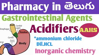 Gastrointestinal Agents acidifiers in తెలుగు  bpharm 1st sem  inorganic chemistry unit 3 [upl. by Sairahcaz]