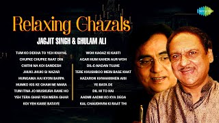 Relaxing Ghazals  Chithi Na Koi Sandesh  Dil E Nadan  Jagjit Singh Ghazals  Best Of Ghazal [upl. by Namso]