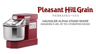 Häussler Alpha sprial mixer kneading 5 lbs of 75 hydration dough [upl. by Savanna]