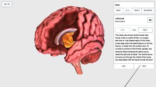 How To BioDigital Human zSpace [upl. by Secilu]