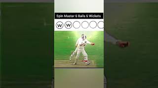 Spin master 6 balls6 wickete [upl. by Epillihp]