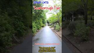 Scarborough Fair straycats [upl. by Bottali]