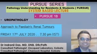 Pursue 1B Uploaded Uropathology Approach to Paediatric Kidney Tumours [upl. by Omari737]