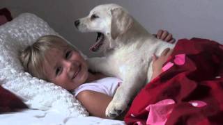 White Labrador Puppy Loves Girl [upl. by Belak644]