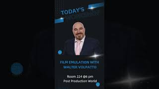 Color Grading SessionsFilm Emulation with Walter Volpatto [upl. by Eniamrahs]