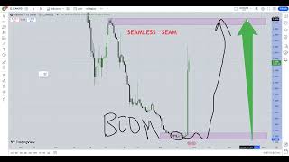 Seamless SEAM Crypto Price Prediction 2024 [upl. by Necyla219]