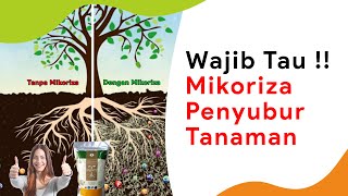 Peran Mikoriza Serta 5 Rekomendasi Produknya [upl. by Gardy52]