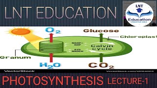 PHOTOSYNTHESISSCIENCE LECTURE1FOR HCS BOARD EXAM [upl. by Fritz679]