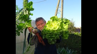 le 27102024  une bonne préparation du potager pour de bons résultats [upl. by Turne]