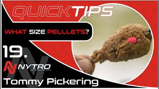 Quick Tips What size pellets to put on a Feeder [upl. by Atworth]