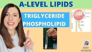 TRIGLYCERIDE and PHOSPHOLIPID structure and function for Alevel Biology Includes EMULSION test [upl. by Leehar576]