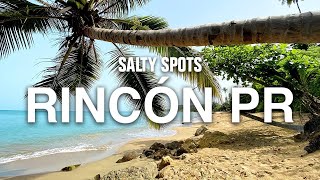 Spearfishing amp Exploring in Rincón Puerto Rico  Salty Spots [upl. by Nimaynib]