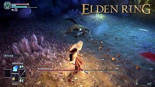 Elden Ring Bloodhound Knight Boss Easy Guide  MageAstrologer  Lakeside Crystal Cave [upl. by Edurtreg]