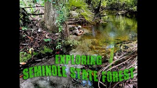 Spring Hunting in Seminole State Forest [upl. by Dranik]