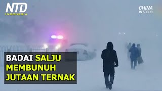 Badai Salju yang Memecahkan Rekor Terjadi di Tiongkok [upl. by Ardnusal]