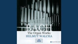 JS Bach Toccata and Fugue in D Minor BWV 565 I Toccata [upl. by Cohligan]