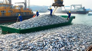 Modern Longline Fishing  Catching Thousands of Fish in One Day on a High Tech Boat [upl. by Enneirda]