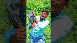 సీమకోడి కూర YTSHORTS  Ultimate Village Comedy  Manapalle AtoZ [upl. by Fennie]