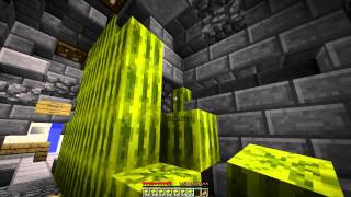 WATERMELON MASSACRE Minecraft FUNNY COPS N ROBBERS 30 MiniGame wMitch amp Friends [upl. by Anirtal]