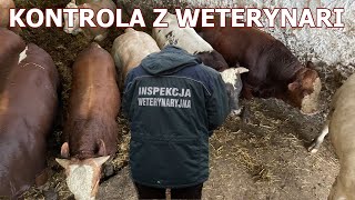 KONTROLA Z WETERYNARII  CZEGO MOŻEMY SIĘ SPODZIEWAĆ [upl. by Whitelaw]