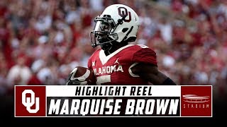 Marquise Brown Oklahoma Football Highlights  2018 Season  Stadium [upl. by Akenit]