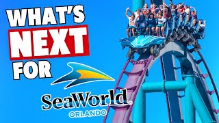 🔥 5 BURNING Questions About SeaWorld Orlandos Future [upl. by Durham586]