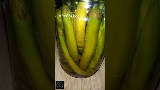 Green Chilli Pickle in Vinegar Short [upl. by Haymo]