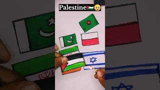 🇵🇸🇮🇶🇮🇳🇵🇰🇧🇩🇵🇱 Palestine Flag Flag Drawingshorts youtubeshorts palestine [upl. by Ardnuaek]