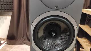 Floorstanding speakers Audiovector R3 Avantgarde [upl. by Chappelka397]