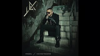 Yandel  Encantadora New Official Version [upl. by Samara144]