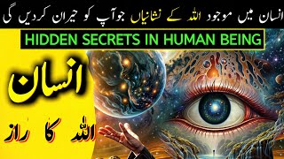 Insan Allah Ka Raaz Hai  Why We Came Here  Secrets of Allah  AT MUSLIM [upl. by Pesvoh]