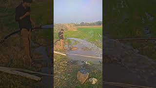 Hamare sath bhedhoge to jamane ke sath nhi chal pavige shortvideo desifarm village viralshort [upl. by Readus]