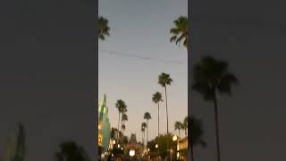 Running in Disneys Hollywood Studios shorts [upl. by Inimod]