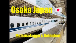 Travel to Japan Part 2 Visiting Dotonbori in Osaka Bullet Train experience amp try Matsusaka Beef [upl. by Albers676]