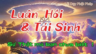 Luân Hồi và Tái Sinh Bí Mật có thể bạn chưa biết [upl. by Reinold811]