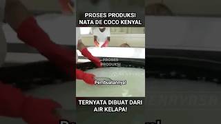 Proses Produksi Nata de Coco dari Air Kelapa  Pabrik Nata de Coco [upl. by Sancho]