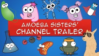 The Amoeba Sisters YouTube Trailer OLD VIDEO [upl. by Skipper]