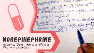 NOREPINEPHRINE  Actions Uses Pharmacokinetics adverse effects PHARMACOLOGY [upl. by Nauq]