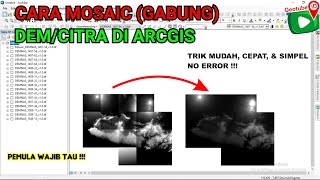 Cara Menggabungkan Mosaic DEM atau Citra Satelit di ArcGIS  Mosaic Multiple Raster Datasets [upl. by Ecreip]