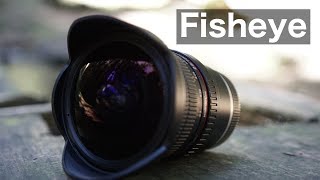 Was ist ein Fisheye Objektiv  Fotografieren lernen Deutsch [upl. by Gwenny]