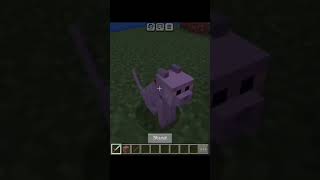 Cat music viralvideo trending shorts game minecraft gaming [upl. by Ubald978]