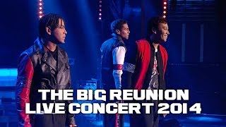 3T  ANYTHING THE BIG REUNION LIVE CONCERT 2014 [upl. by Anaeerb]