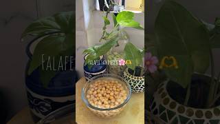 Falafel sandwich banate hai🫶 viral viralshorts snakslover ideas [upl. by Venus]