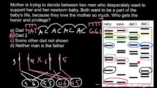 DDC Home Paternity DNA Test [upl. by Aramal]