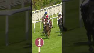 Kyprios Is Dominant In His Second G1 Goodwood Cup Win QGF [upl. by Ytirehc]