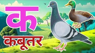 ♥️♥️🦜🦜k se kabutar। a se anar। k se gya tak। a se ah tak। cartoon aseanar ksekabutar [upl. by Etnud]