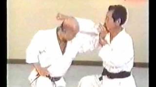 Wado Karate Idori by Tatsuo Suzuki Sensei [upl. by Shulman]